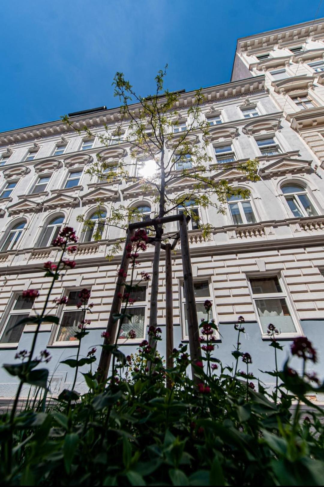Vienna My City Apartment Garden View Exterior photo